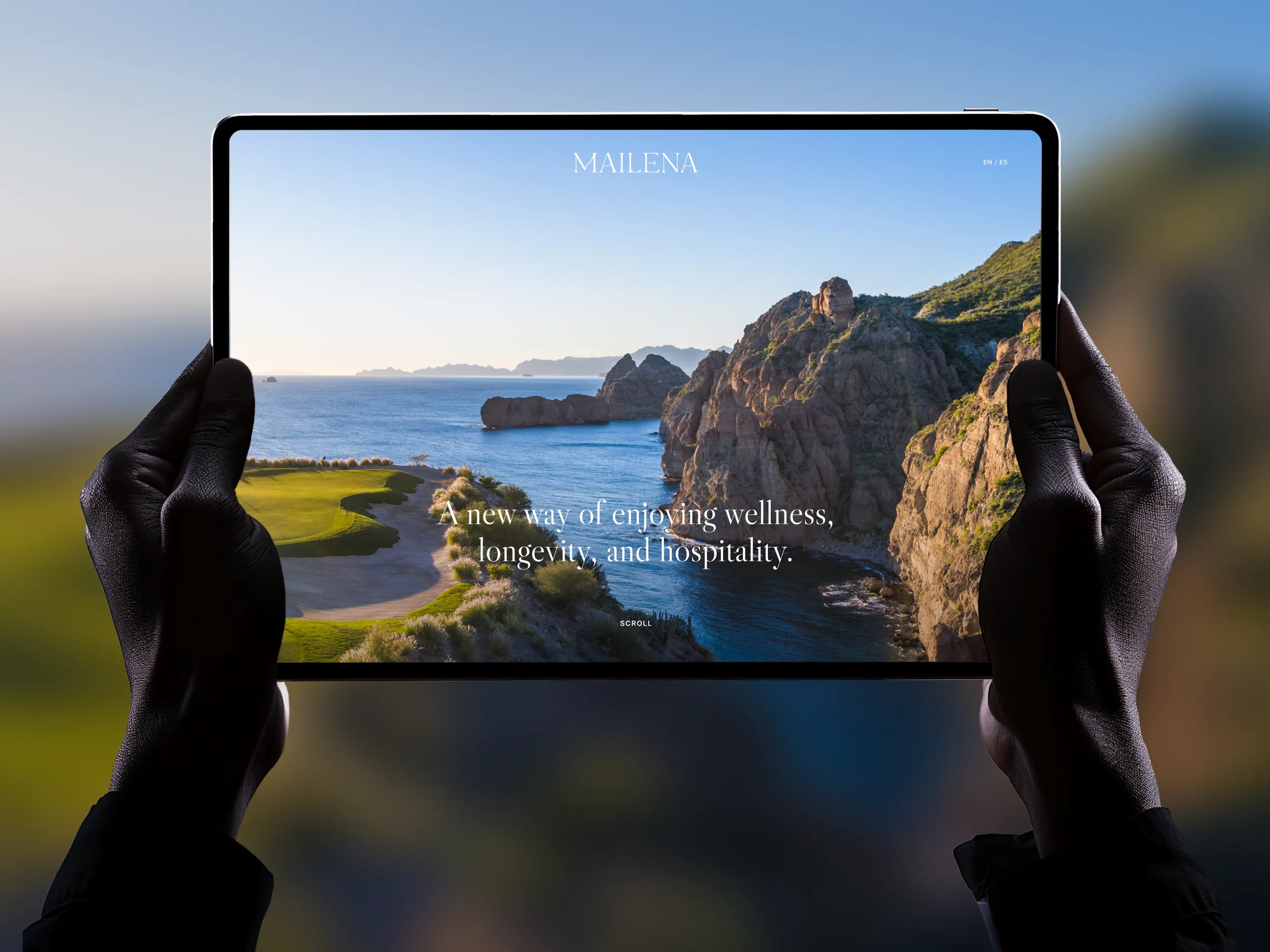 The Mailena site held open on a tablet: the resort wordmark over a photograph of the Baja California coast, a golf green meeting the sea below a rock headland, with the positioning line and a scroll cue over it